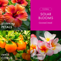 Solar Blooms 3-Docht-Kerze 411g