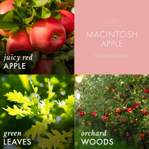Macintosh Apple 1-Docht-Kerze 198g