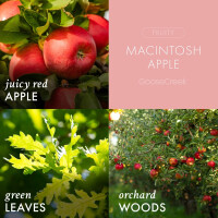 Macintosh Apple 1-Docht-Kerze 198g