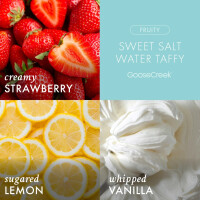 Sweet Salt Water Taffy 3-Docht-Kerze 411g