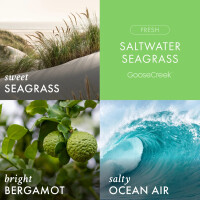 Saltwater Seagrass 3-Docht-Kerze 411g