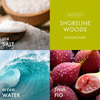 Shoreline Woods 3-Docht-Kerze 411g