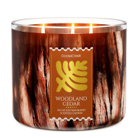 Woodland Cedar 3-Docht-Kerze 411g