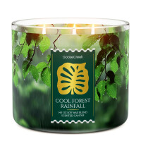 Cool Forest Rainfall 3-Docht-Kerze 411g