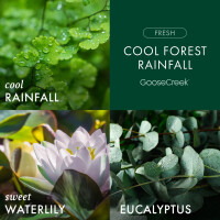 Cool Forest Rainfall 3-Docht-Kerze 411g