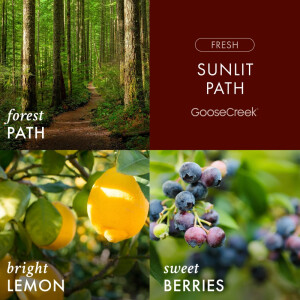 Sunlit Path 3-Docht-Kerze 411g