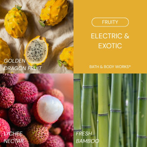 Electric & Exotic Body Spray 236ml