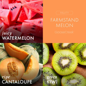 Farmstand Melon Wachsmelt 59g
