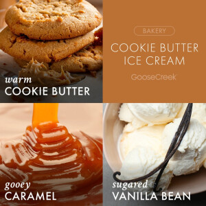 Cookie Butter Ice Cream Wachsmelt 59g