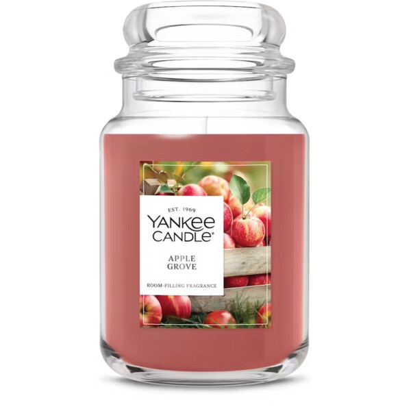 Apple Grove 1-Docht-Kerze 623g