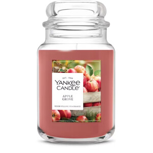Apple Grove 1-Docht-Kerze 623g