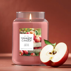 Apple Grove 1-Docht-Kerze 623g