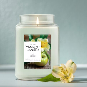 Iris Apple 1-Docht-Kerze 623g