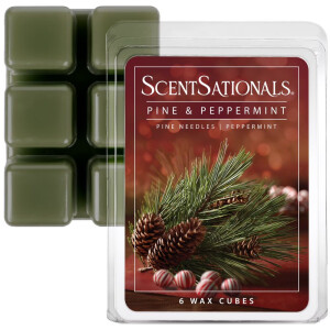 Pine & Peppermint Wachsmelt 70,9g