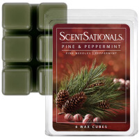Pine & Peppermint Wachsmelt 70,9g