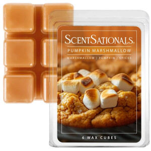 Pumpkin Marshmallow Wachsmelt 70,9g