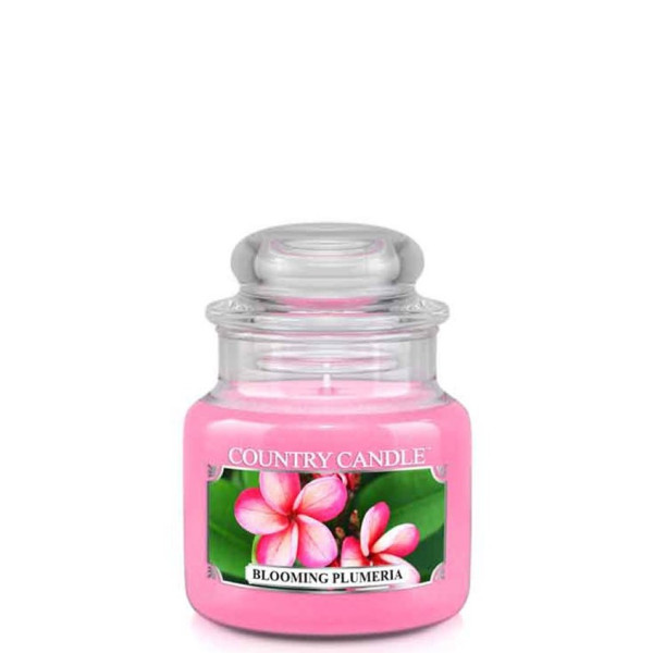 Country Candle&trade; Blooming Plumeria 1-Docht-Kerze 104g