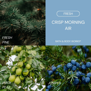 Crisp Morning Air Handdesinfektion 29ml