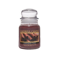 Cinnamon Twist 1-Docht-Kerze 170g