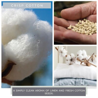 Crisp Cotton 1-Docht-Kerze 170g