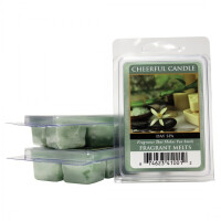 Day Spa Wachsmelt 68g