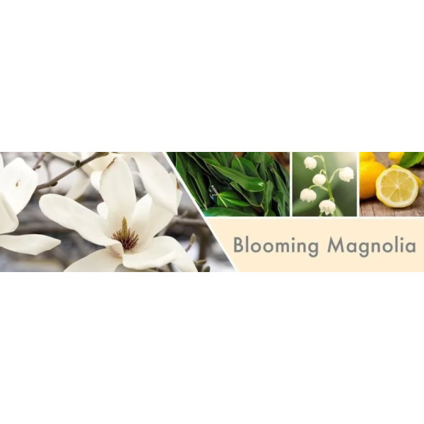 Goose Creek Candle® Blooming Magnolia 2-Docht-Kerze 680g