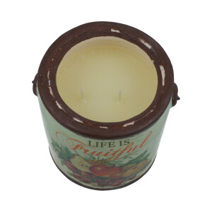 Cheerful Candle Fresh Peeled Macintosh Farm Fresh 566g