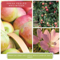 Fresh Peeled Macintosh Wachsmelt 68g