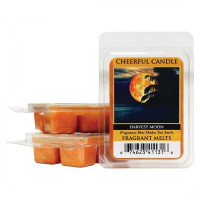 Cheerful Candle Harvest Moon Wachsmelt 68g