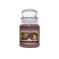 Holiday Homecoming 1-Docht-Kerze 170g