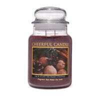 Holiday Homecoming 2-Docht-Kerze 680g