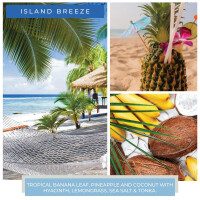 Island Breeze 2-Docht-Kerze Papa Jar 963g