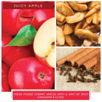 Juicy Apple 2-Docht-Kerze 453g