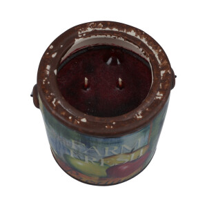 Juicy Apple Farm Fresh 566g