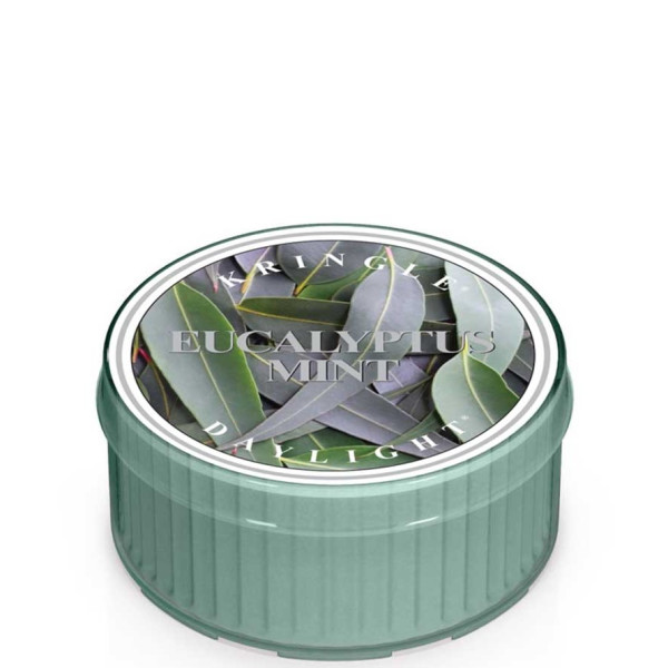 Kringle Candle® Eucalyptus Mint Daylight 35g