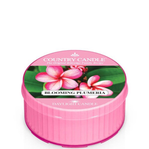 Country Candle™ Blooming Plumeria Daylight 35g