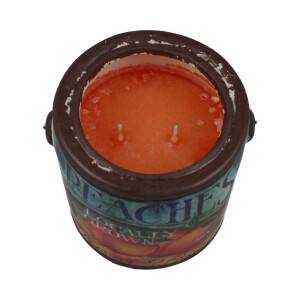 Juicy Peach Farm Fresh 566g