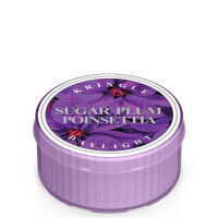 Kringle Candle® Sugar Plum Poinsettia Daylight 35g