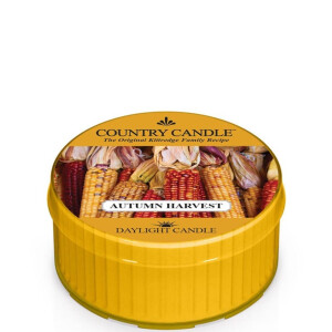 Country Candle™ Autumn Harvest Daylight 35g