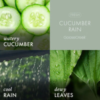Cucumber Rain Wachsmelt 59g