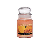 Mango Tango 1-Docht-Kerze 170g