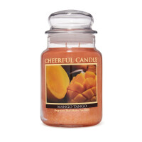 Cheerful Candle Mango Tango 2-Docht-Kerze 680g