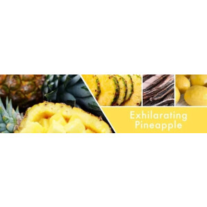 Goose Creek Candle® Exhilarating Pineapple...