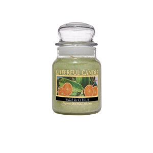 Sage And Citrus 1-Docht-Kerze 170g