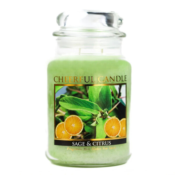 Sage And Citrus 2-Docht-Kerze 680g