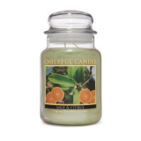 Sage And Citrus 2-Docht-Kerze 680g
