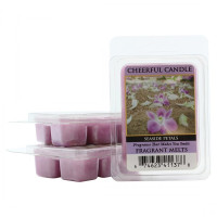 Cheerful Candle Seaside Petals Wachsmelt 68g