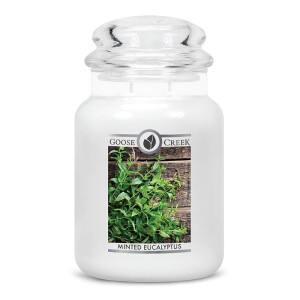 Goose Creek Candle® Minted Eucalyptus 2-Docht-Kerze 680g