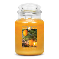 Goose Creek Candle® Orange Grove Tree 2-Docht-Kerze 680g