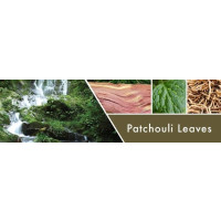Goose Creek Candle® Patchouli Leaves 2-Docht-Kerze 680g